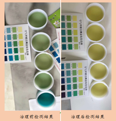 甲醛檢測(cè)盒 圖片3.png