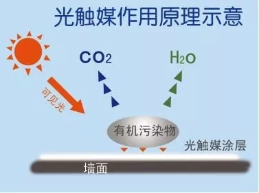 1583980688769261.jpg QQ圖片20200227155659.jpg